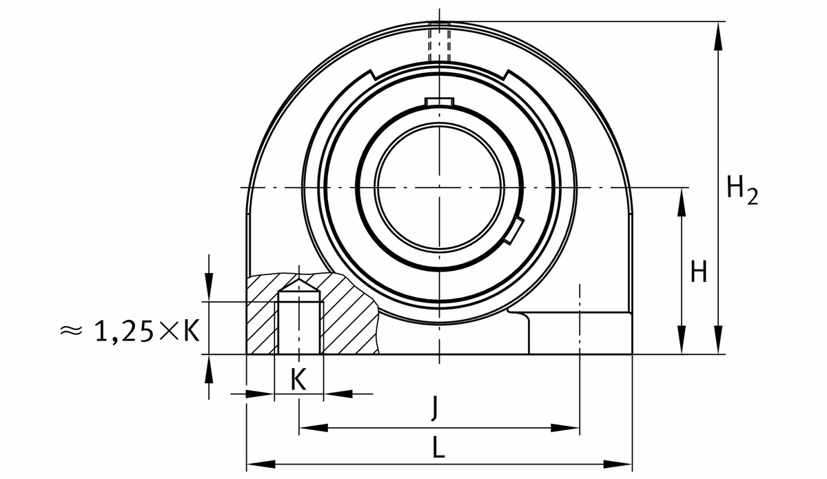 Узел стационарного корпуса FAG UCPA206-18