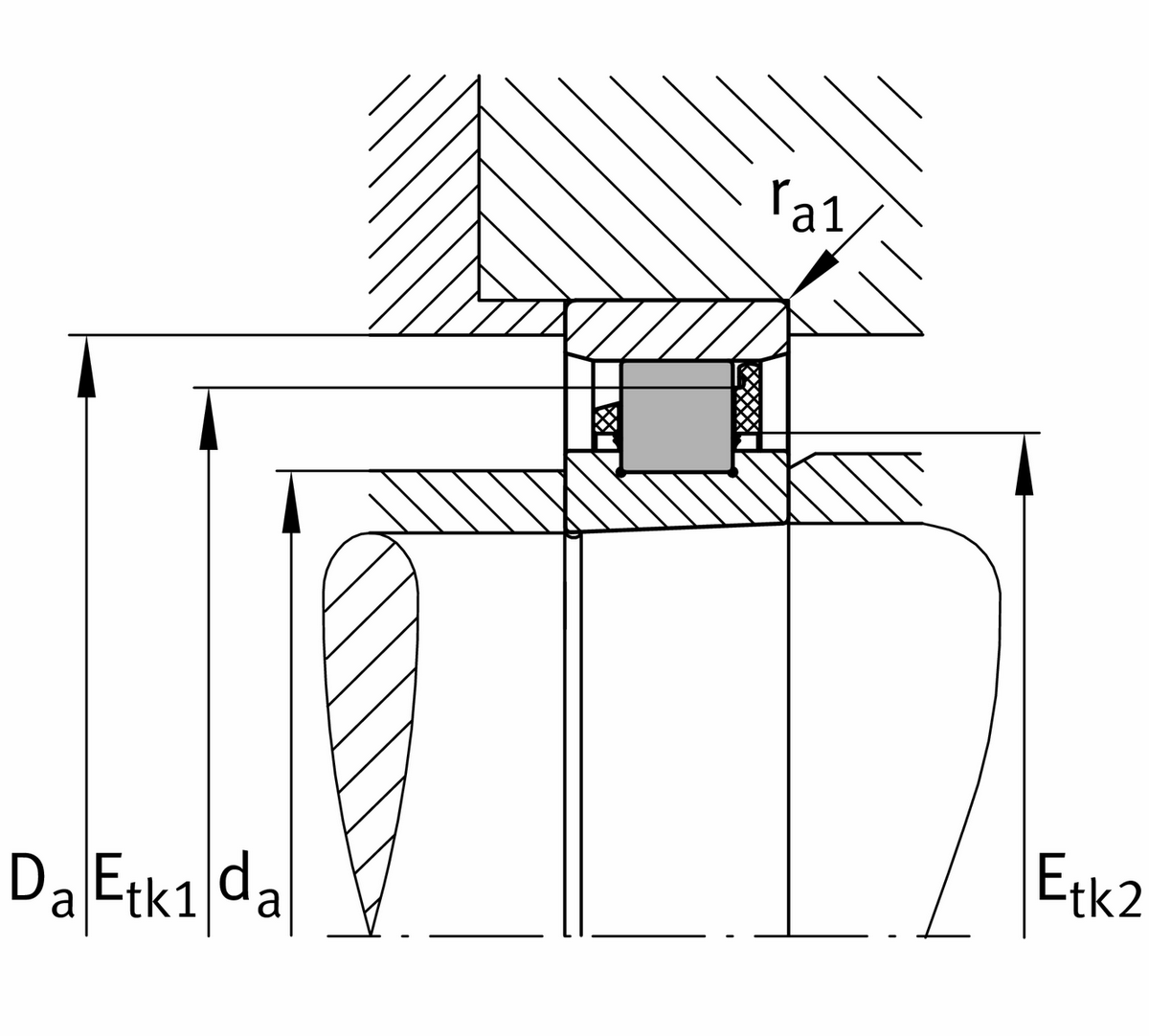 Цилиндрический роликоподшипник FAG HCN1010-D-K-PVPA1-SP-XL